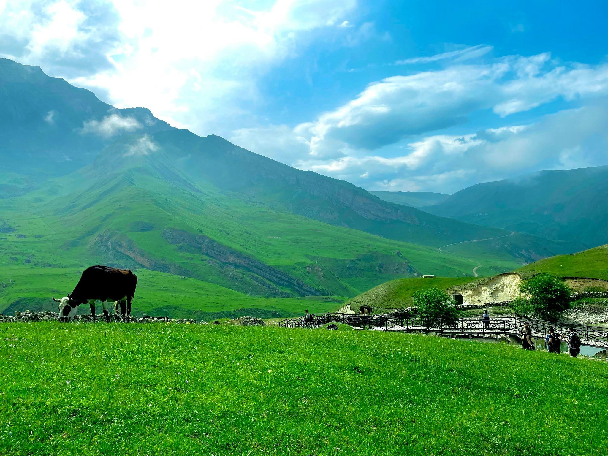 Gabala
